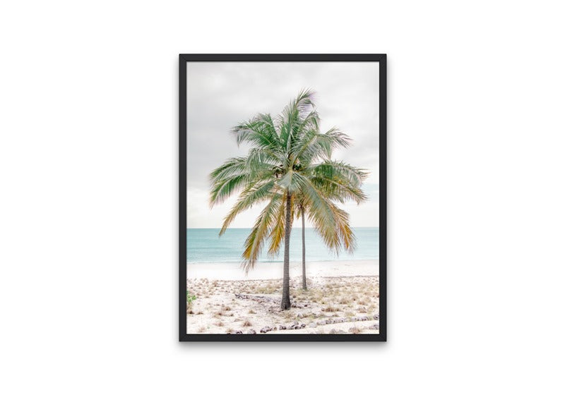Percy Palm