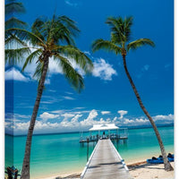 Orpheus Island Jetty