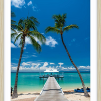 Orpheus Island Jetty