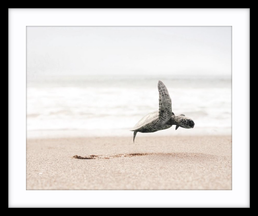 Taking Flight