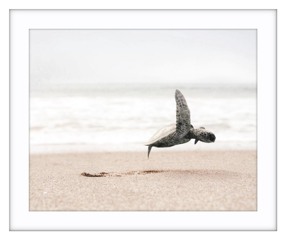 Taking Flight