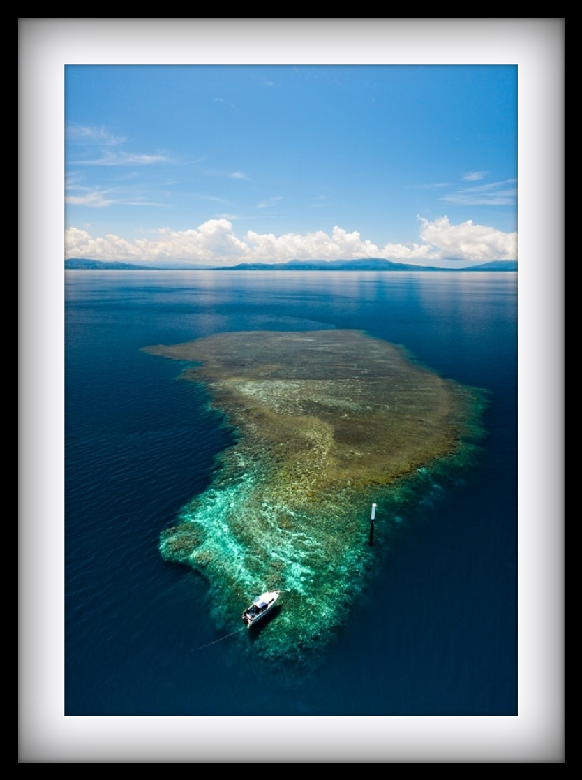 Papua New Guinea