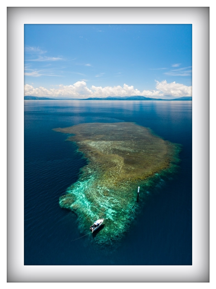 Papua New Guinea
