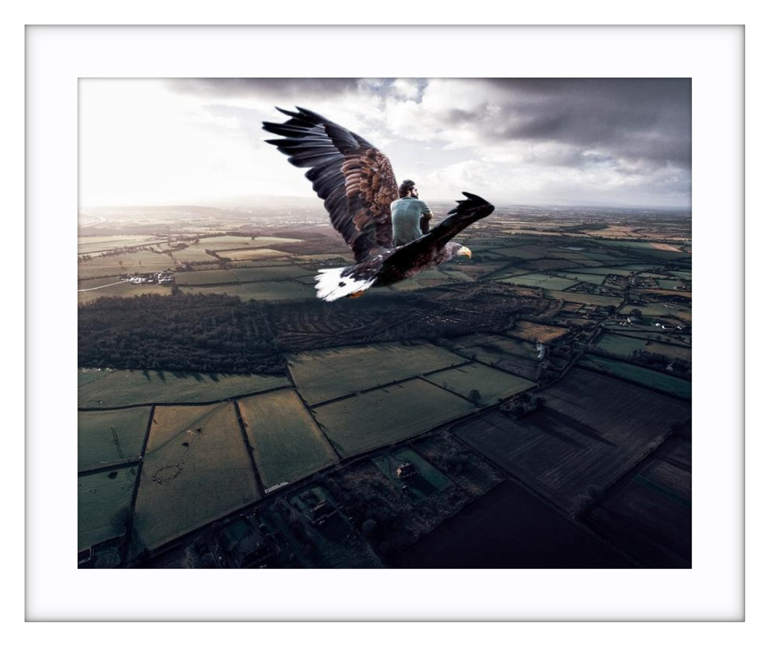 Eagle Flight