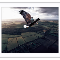 Eagle Flight