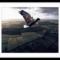 Eagle Flight