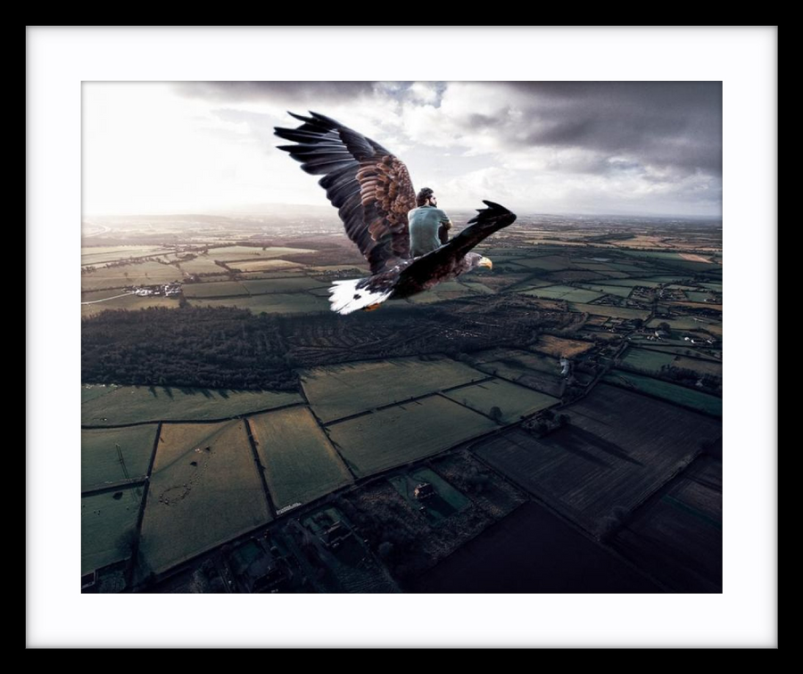 Eagle Flight