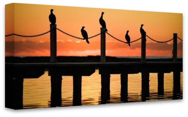 Dawn Birds