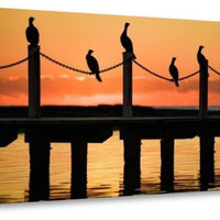 Dawn Birds