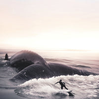 Chasing Tail
