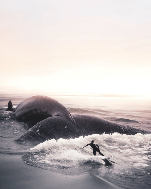 Chasing Tail