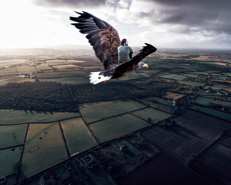 Eagle Flight