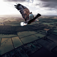 Eagle Flight