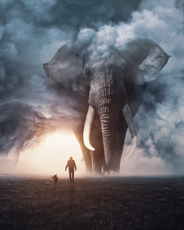 Walking Giant