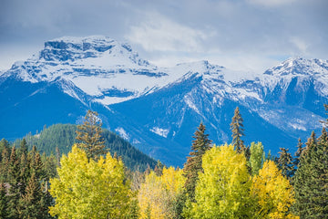 Fall in the Rockies