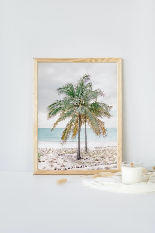 Percy Palm
