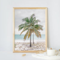 Percy Palm