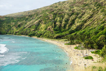 Hanauma Bay II