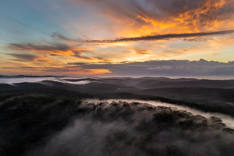 Morning Rising