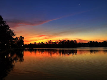 Forest Lake Serenity