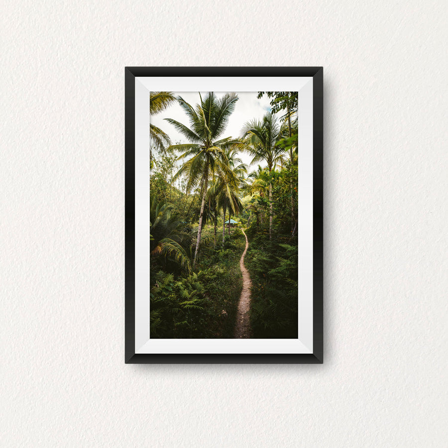 Into the Jungle