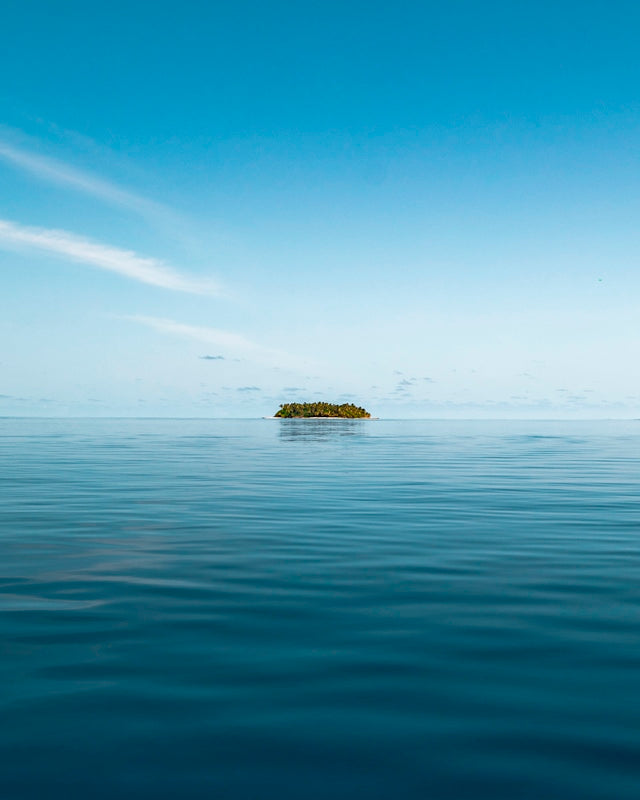 Island Life