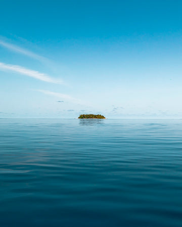 Island Life