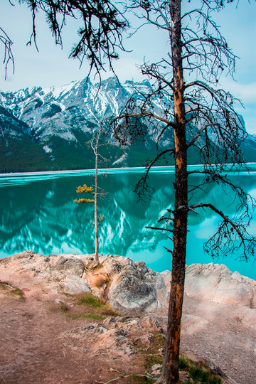 Lake Minnewanka Reflections