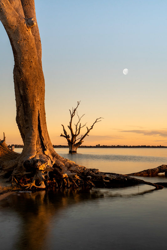 lake bonney sunset