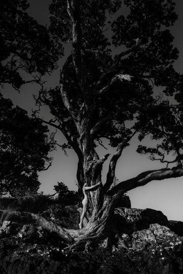 Now she feels like ~ being rooted