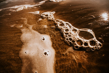 Stories of dunes ~ Morning glory