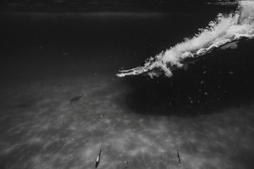 Now she feels like ~ the first dive