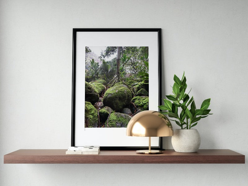 Moss Forest