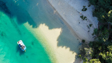 Paradise Feeling