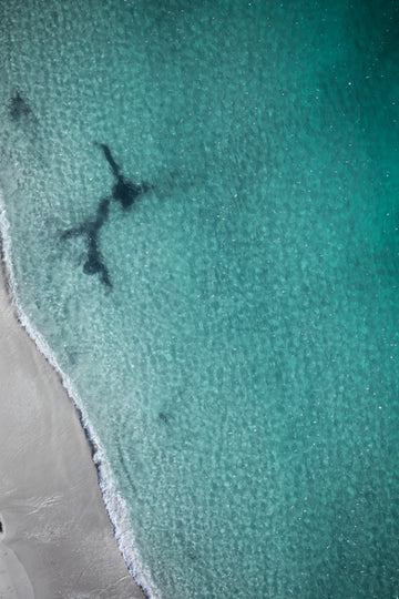 Perth Beach 1