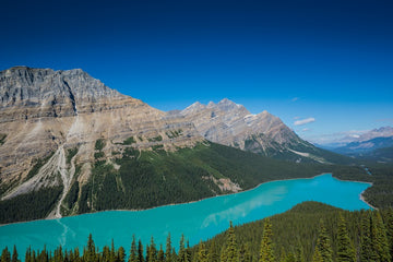 Peyto Lake Banff