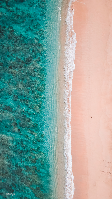 reef to beach