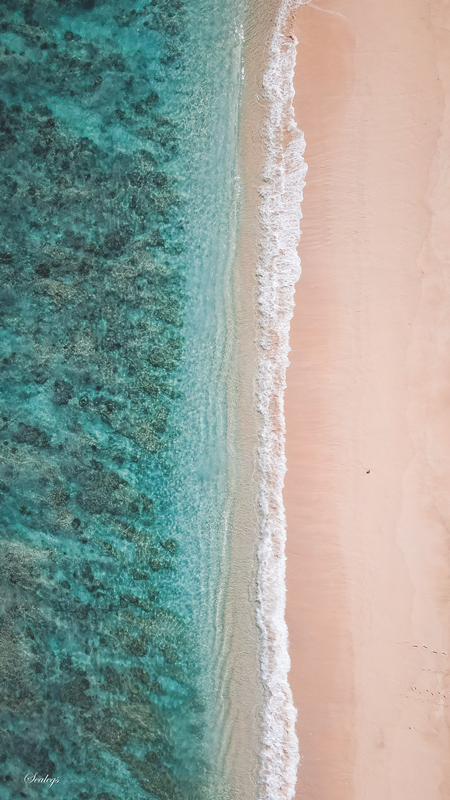 reef to beach