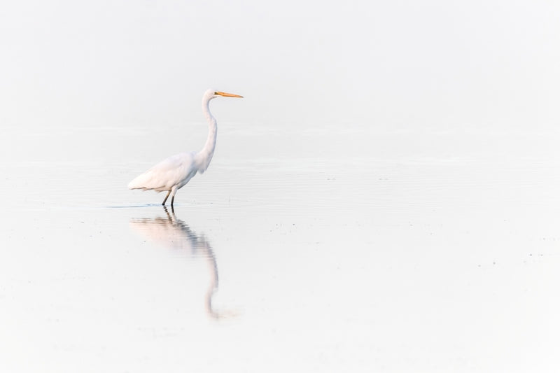 Rippled-Reflections