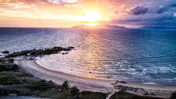 rose bay