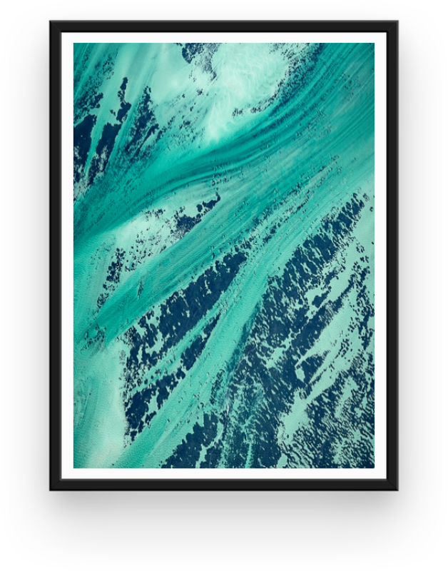 Sea Grass Shark Bay