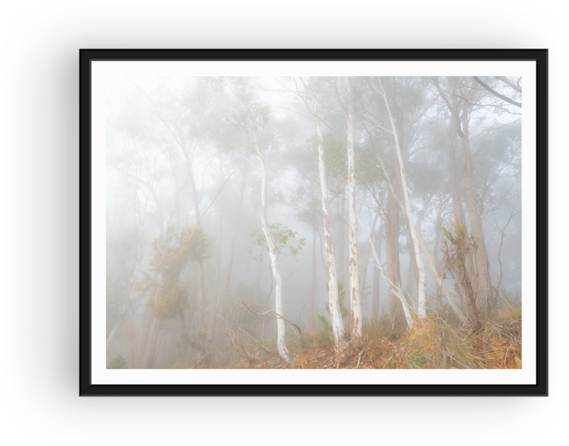 Softly Hidden