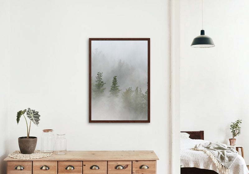 The Pines