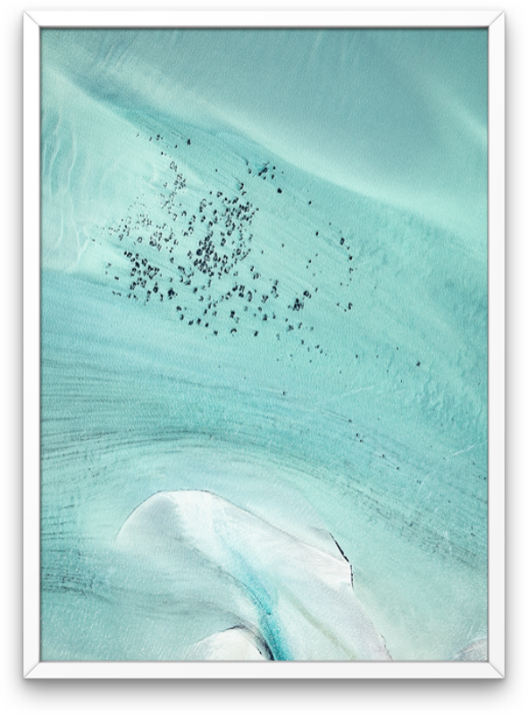 Shark Bay Aerial 2
