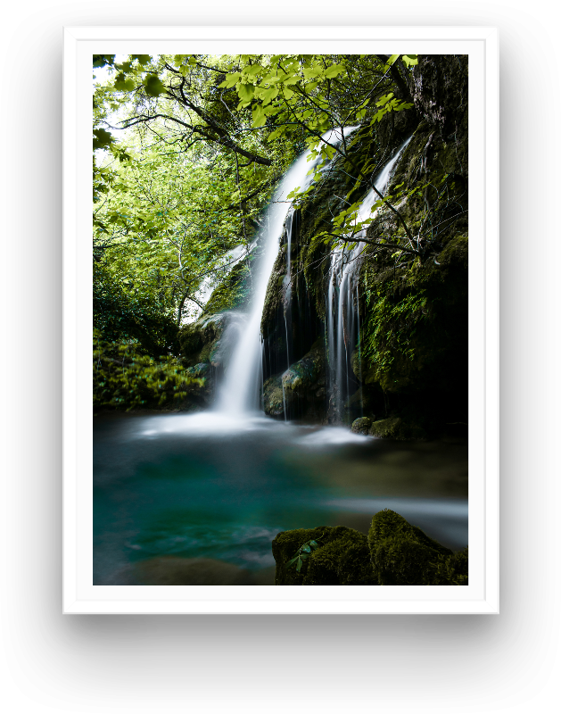 Lush nature