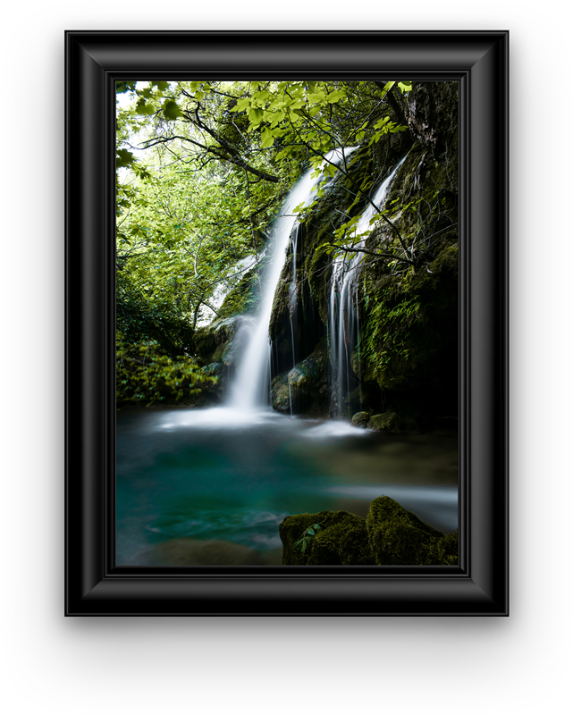 Lush nature