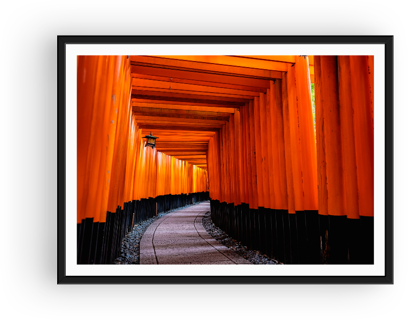 A walk through the Torii gates in the Kinki Region, Japan