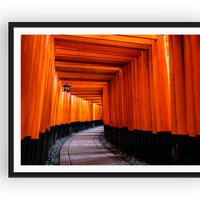 A walk through the Torii gates in the Kinki Region, Japan