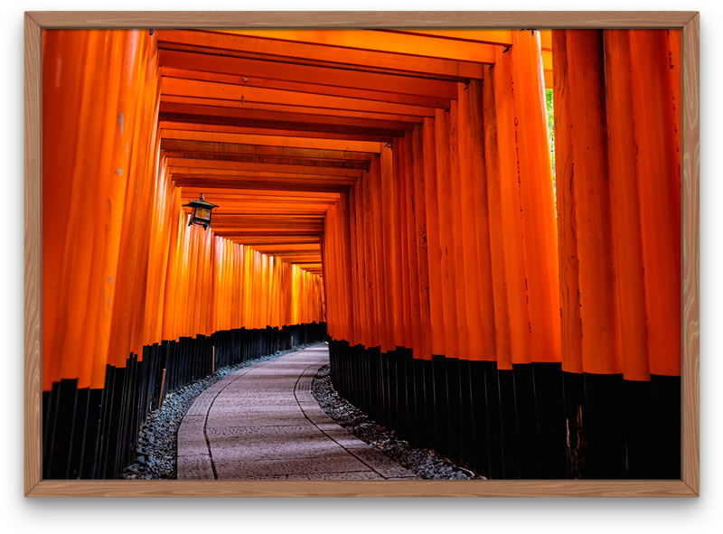 A walk through the Torii gates in the Kinki Region, Japan