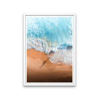Surfer Split 2